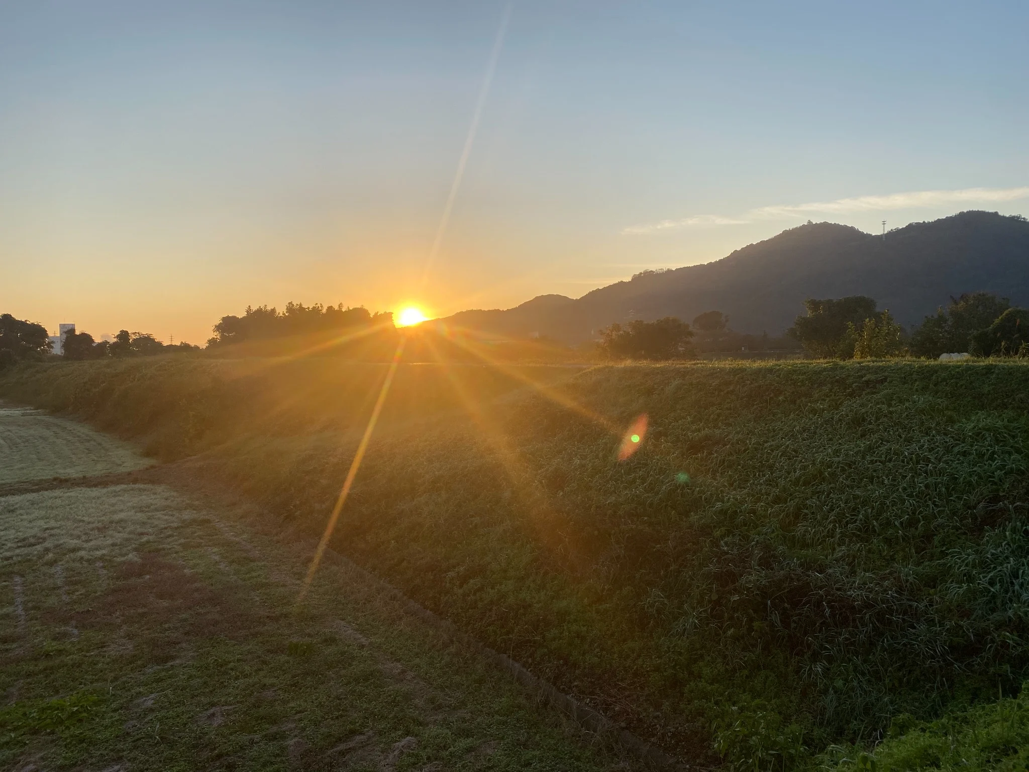 朝の光に包まれて。 幸福の優先順位を整える時間