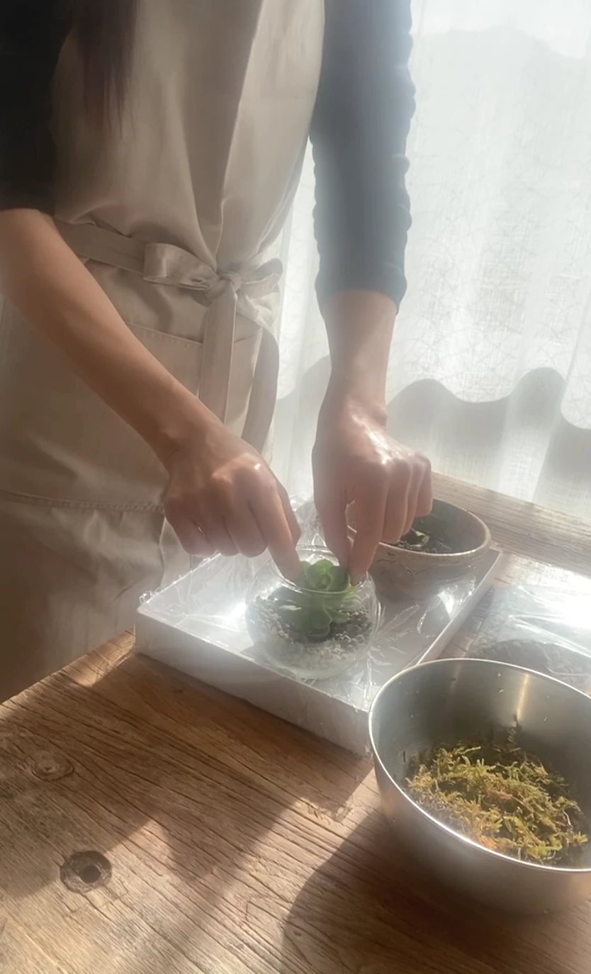 多肉植物を可愛くアレンジ｜Seriaで買ったガラス瓶を使って