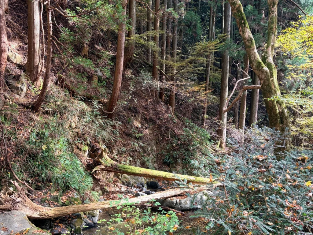 先日訪れた蛇淵の滝
