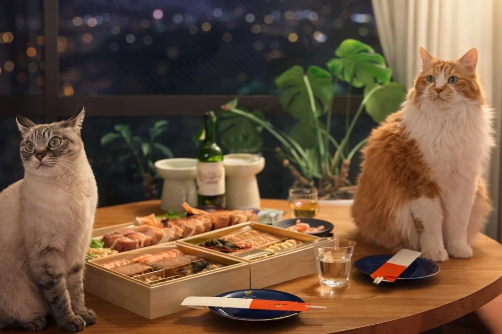 年末の夜、食卓のそばに座る2匹の猫。窓の外には夜景が広がる静かな時間