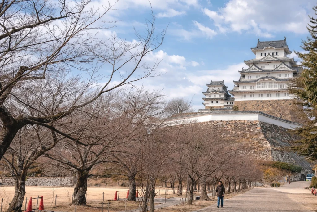 姫路城と冬の散策路。裸木と青空が広がる姫路城周辺の風景